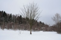 /album/fotogalerie/img-8998-jpg/